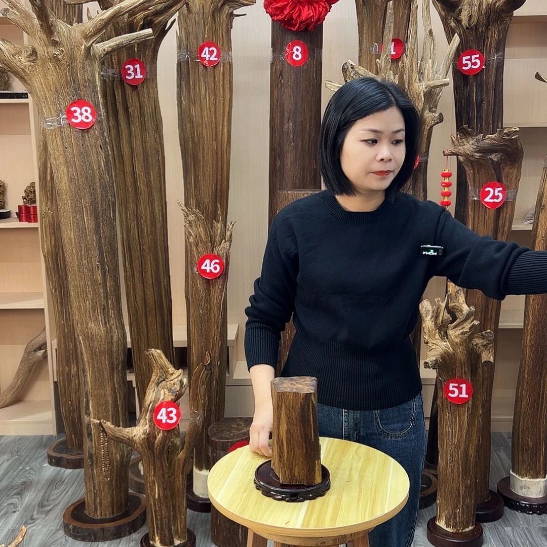 沉香碎屑沉香沉香