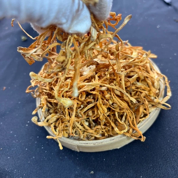 【鸡哥专属】宠草花【鱼胶福利】