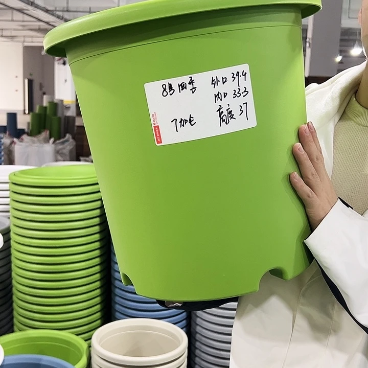 特价8号四季口39.4高37果绿无托3只