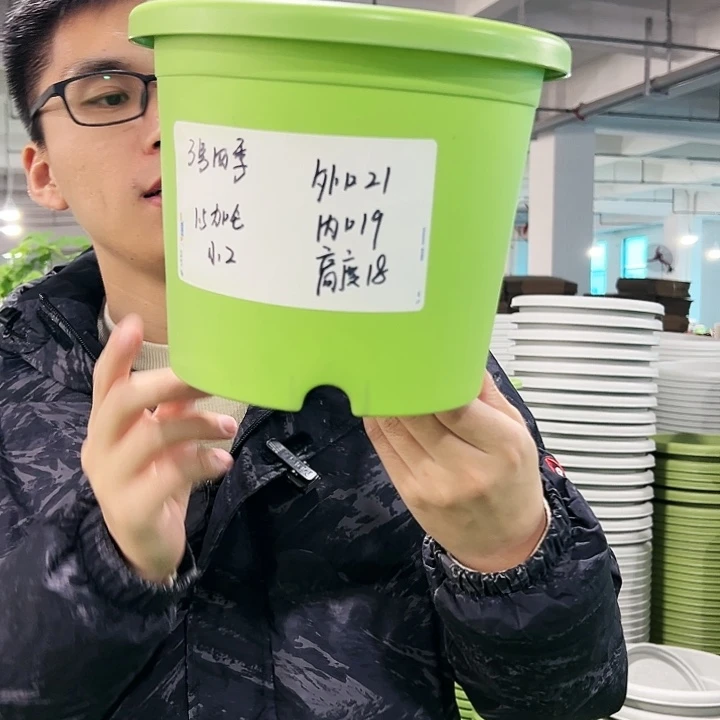 特价3号四季口21高18果绿无托10只