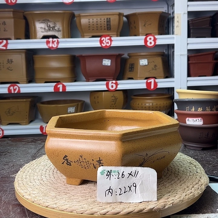 紫砂花盆蛇年大吉