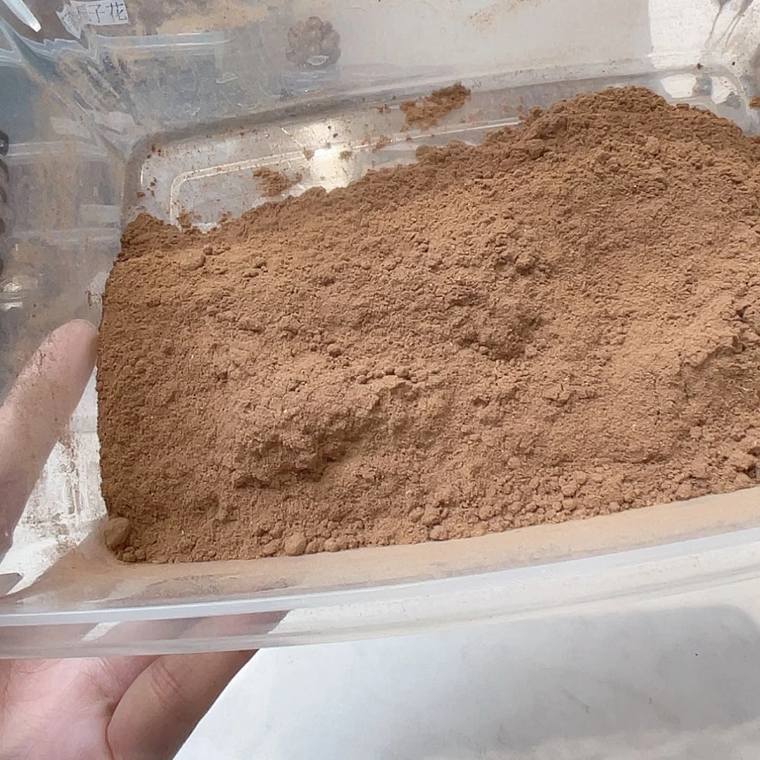 泥塑苍术避疫粉粉50克装无粘粉