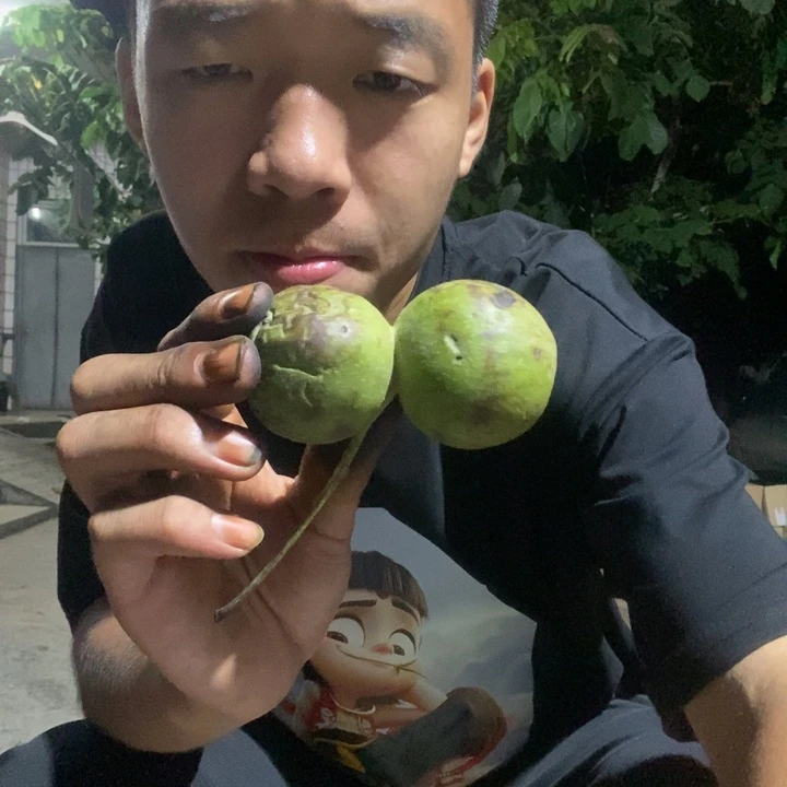 吊坠文玩核桃大*子福利