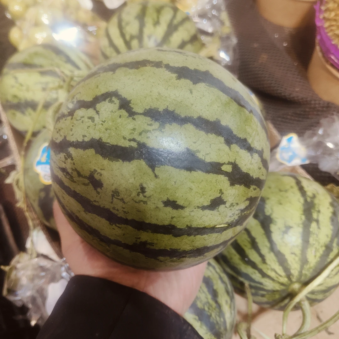 小糖丸西瓜/一个约3~4斤左右甘肃省