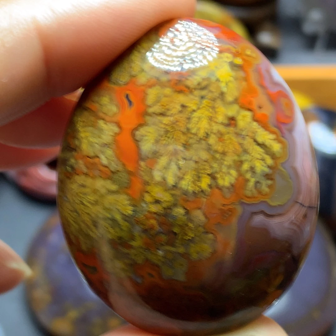 未镶嵌颈饰玛瑙/玉髓隋*