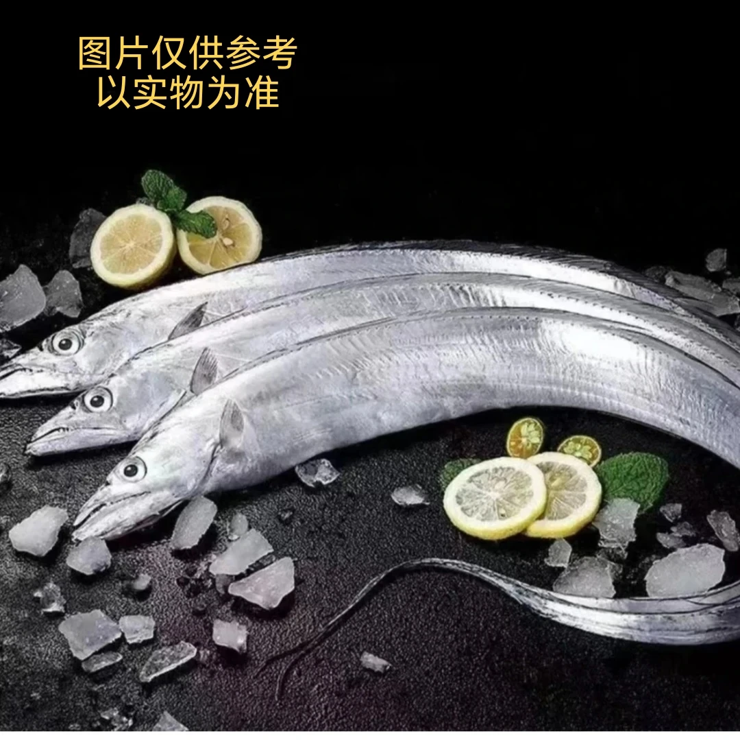 海捕钓钩带鱼（5斤共9-10条鱼)速冻后发货