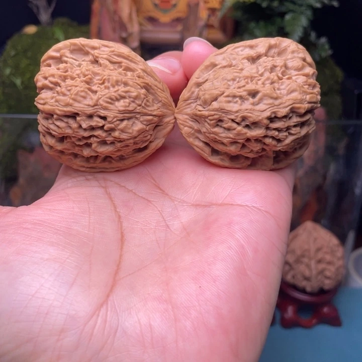 南疆石  天使之翼  全品