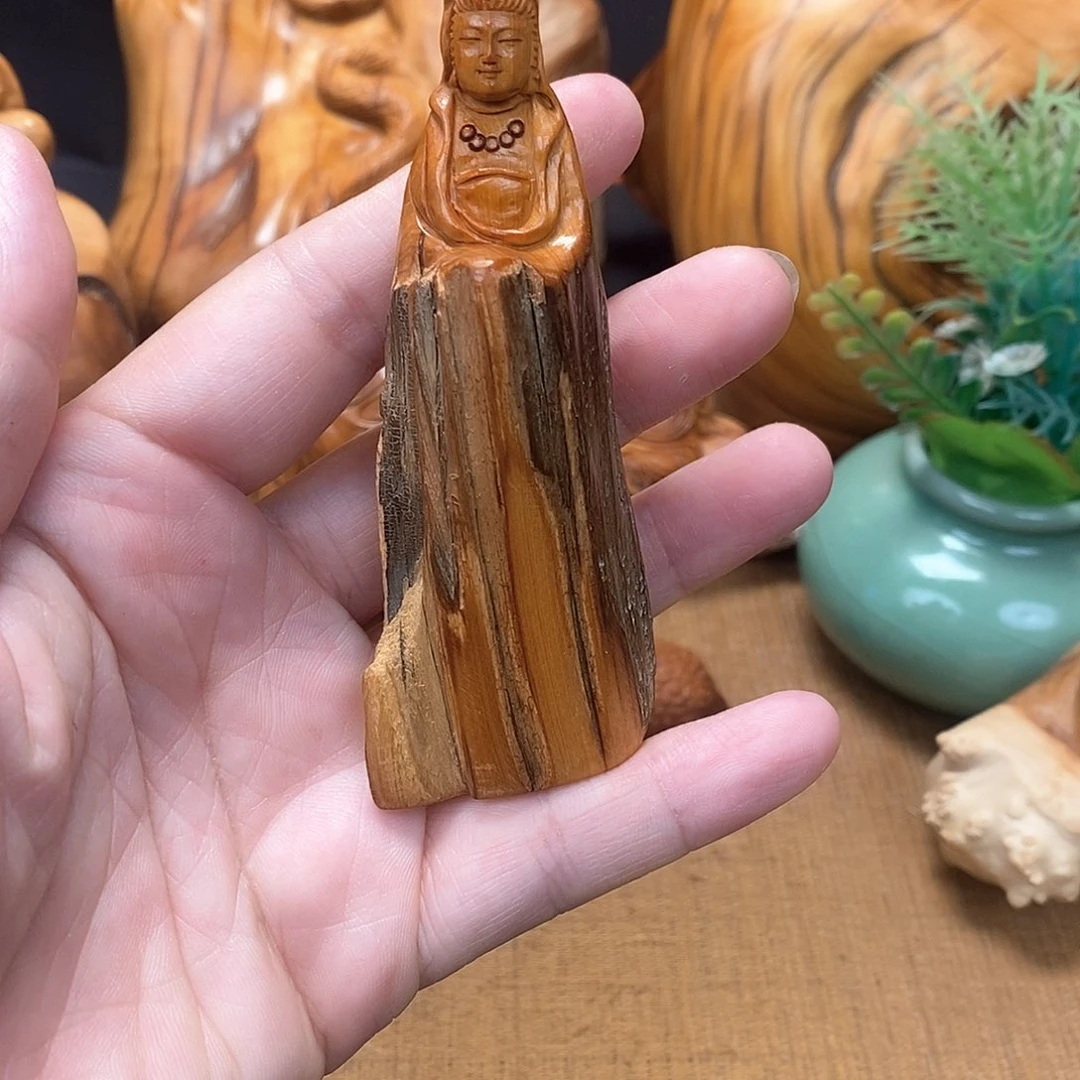柏木（崖柏）一物一图