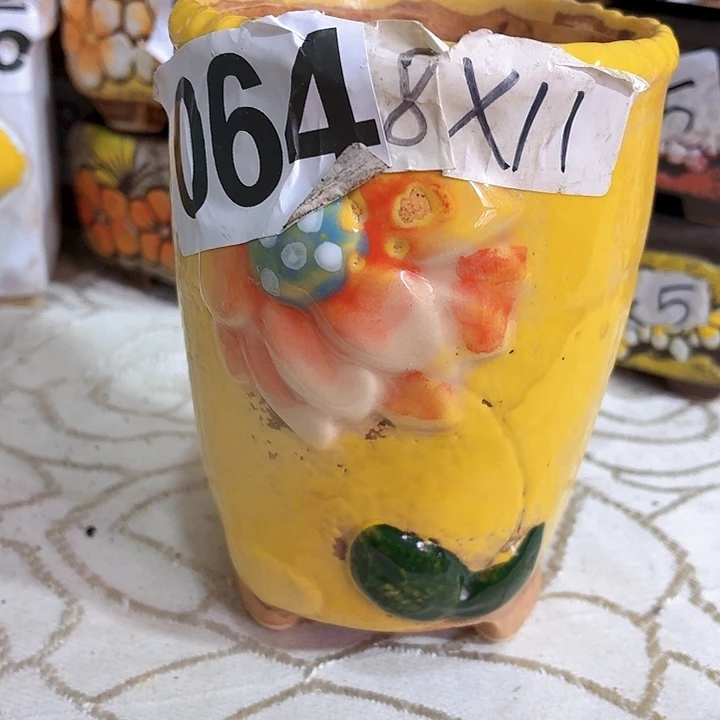 多肉花盆满15包邮