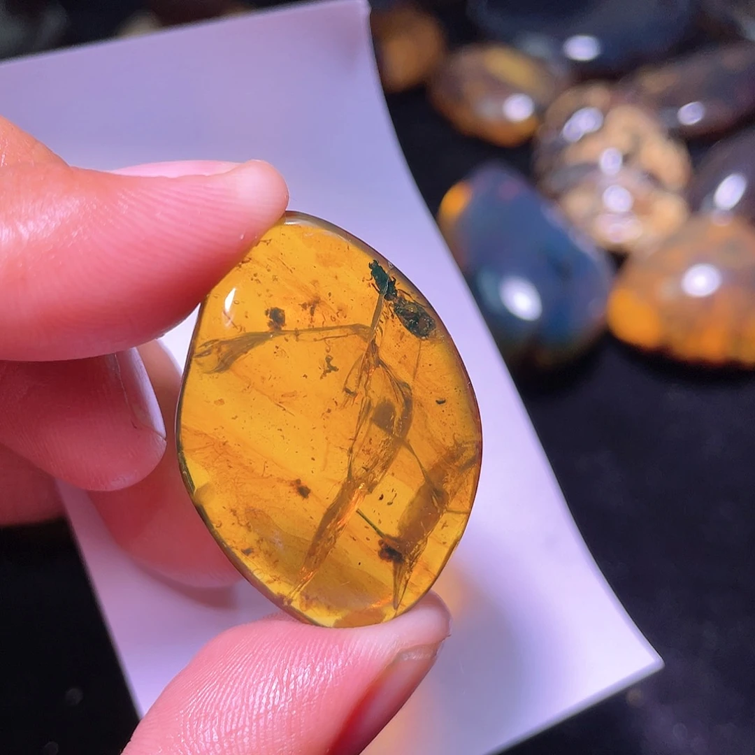 琥珀裸石未镶嵌科，