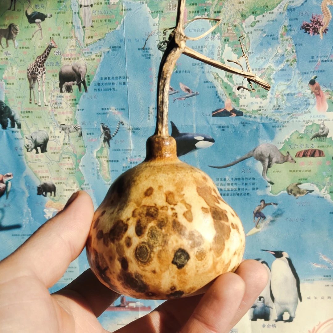 精品花皮葫芦摆件手工制作文玩饰品家居装饰挂件雕刻精美一物一图