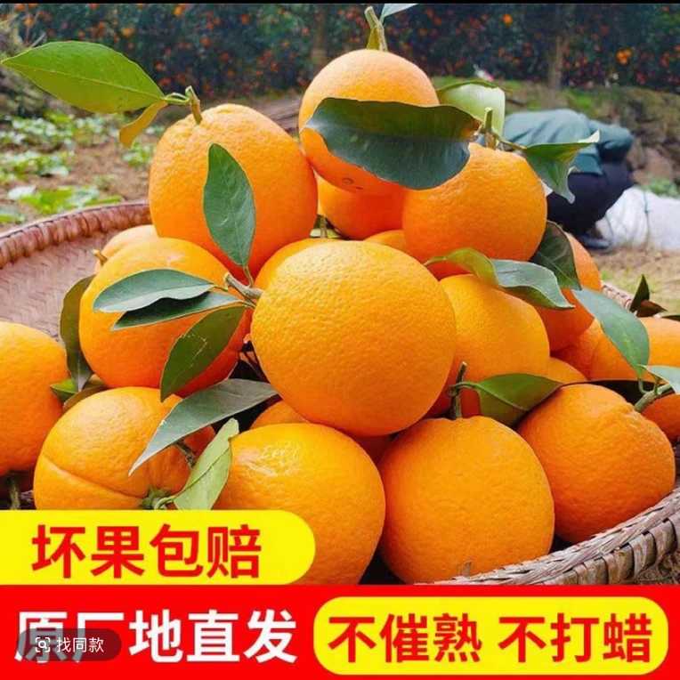 【小哥助农】本地蜜橙 5斤