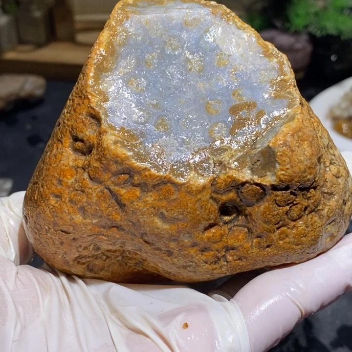 【闪购商品】未镶嵌珊瑚玉硅化玉