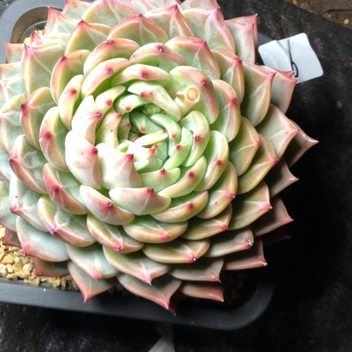 ?**儿6////////////////