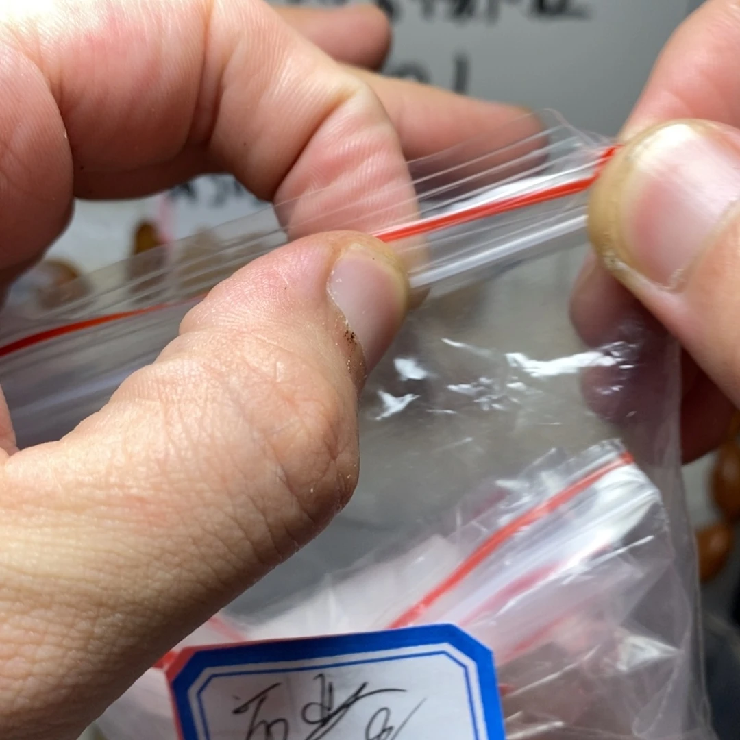 橄榄核手串/手链锦**业橄榄核