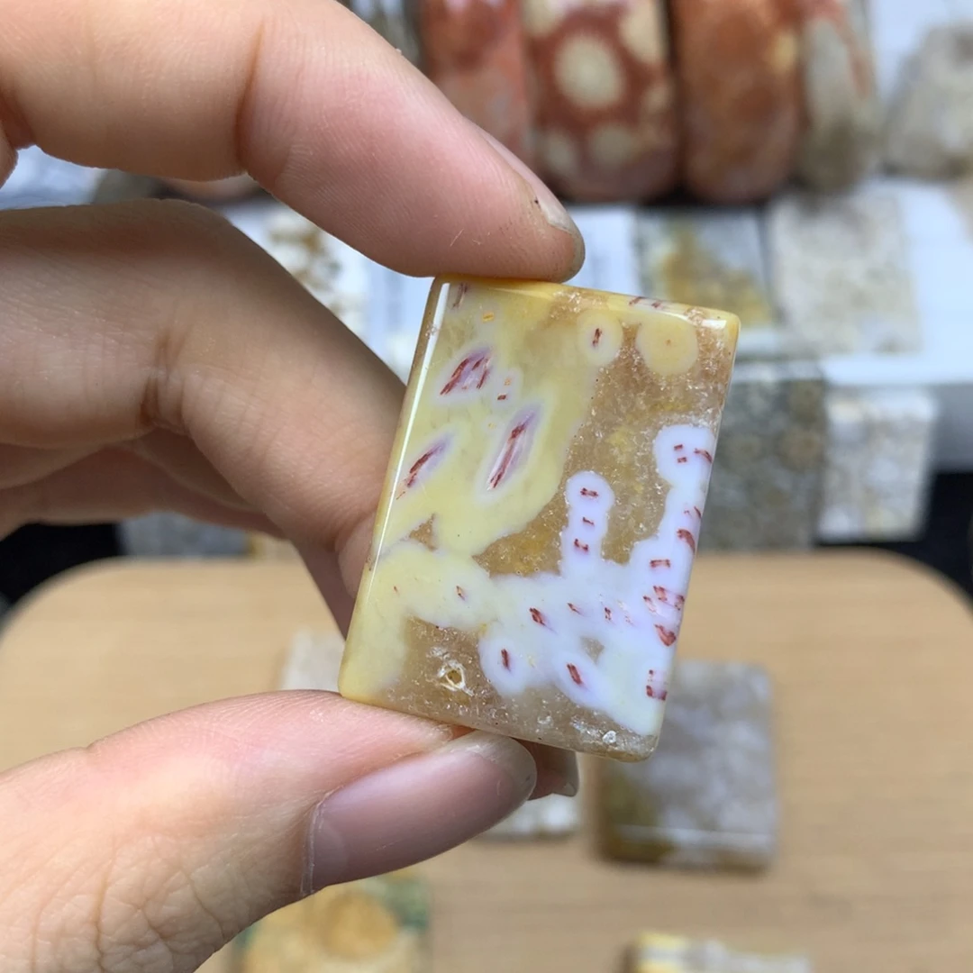 *****颈饰未镶嵌硅化珊瑚（珊瑚玉）