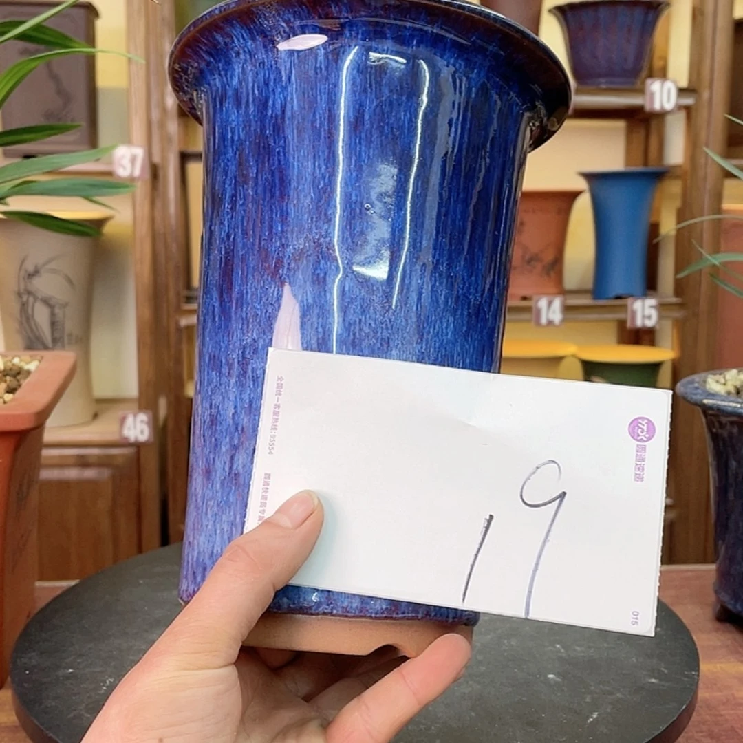 【闪购商品】紫砂花盆?****?兰花745585555566852587