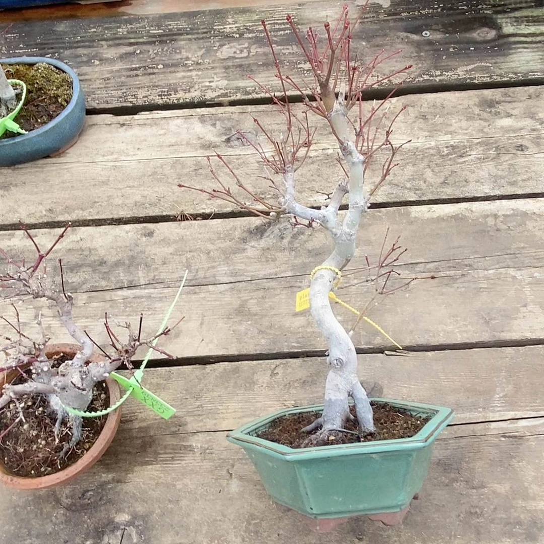 无铅玻璃斗**穹117730