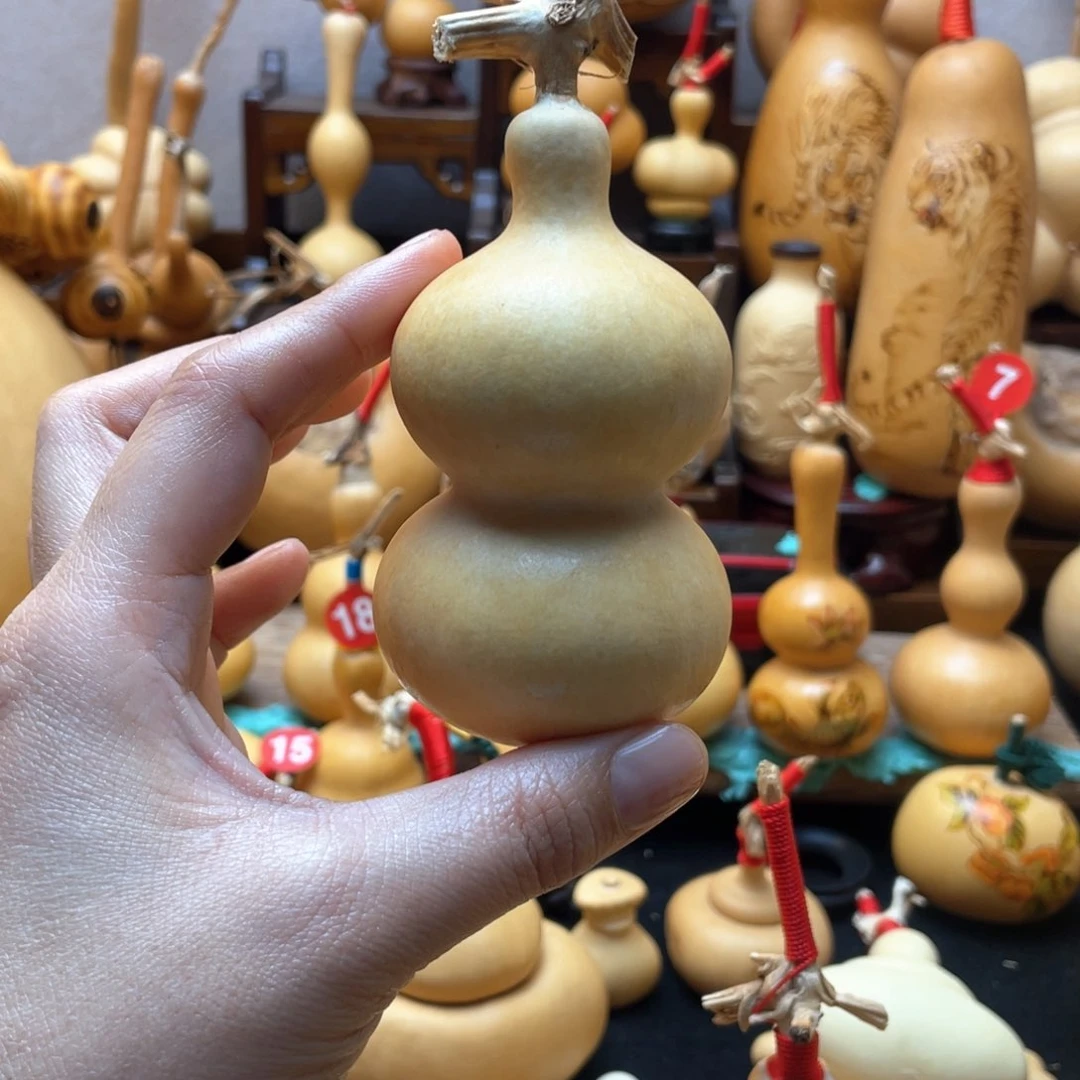 L**哲大自然的秘密第十一节你