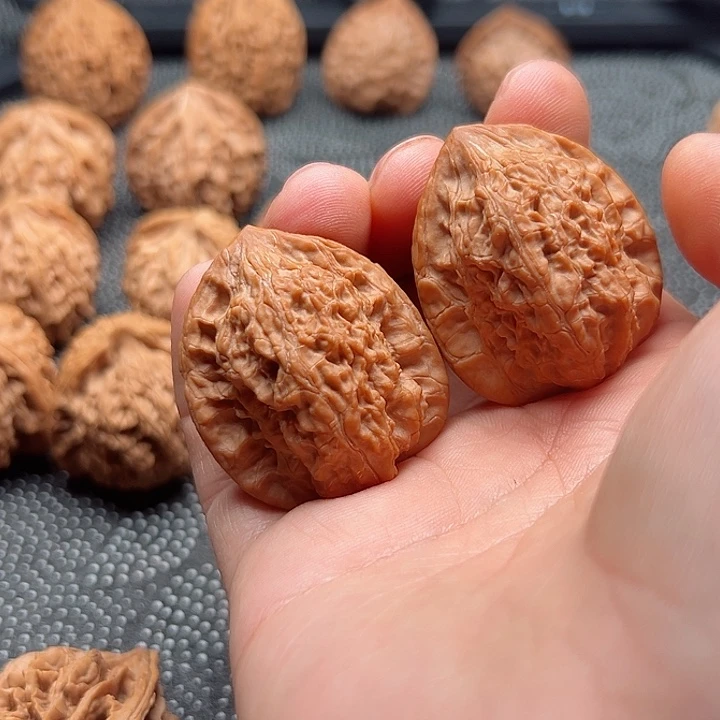 大*胖陕西秦岭野生鸡心