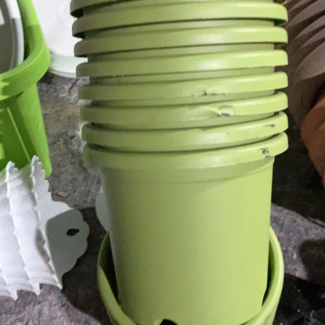 10个17口果绿瑕疵无托伊特