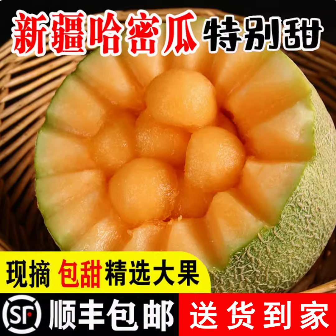 【爆甜多汁】头茬尝鲜新疆西州蜜25号网纹脆甜果香浓郁香甜当季水果