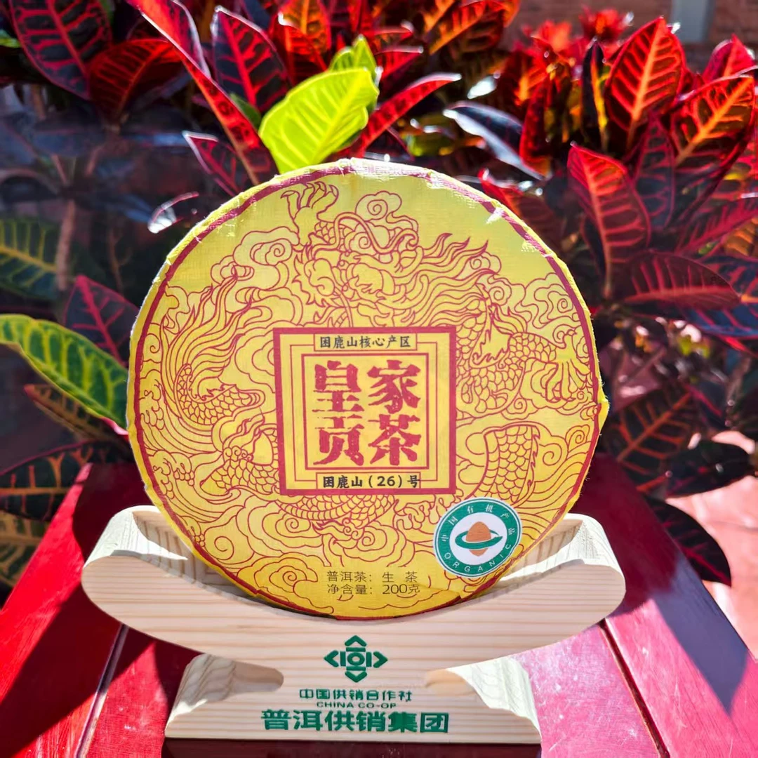 《宁洱茶企代表》困鹿山 200克 生茶小饼