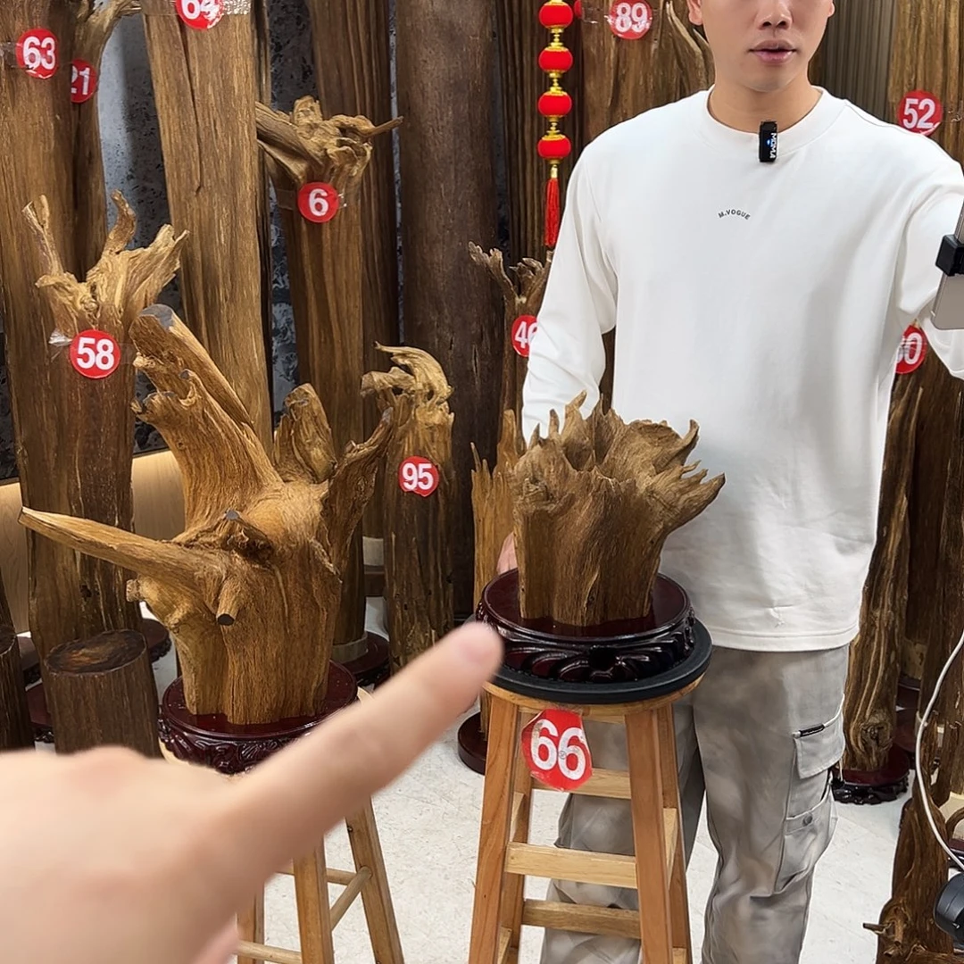 带***士沉香碎屑沉香天然沉香