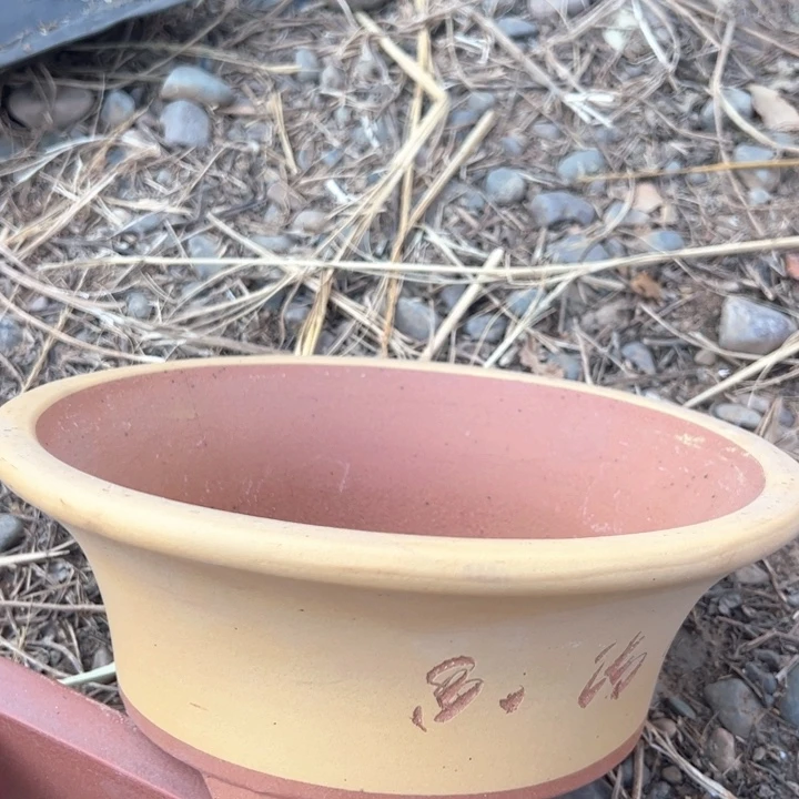 红陶紫砂碗盆口25微瑕