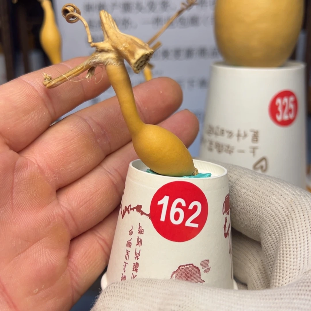 闪电购自助下单编号162