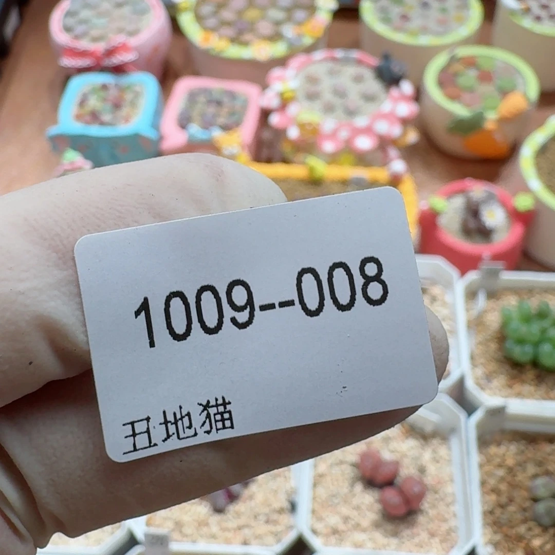 I***.1009-008卷卷卷卷j