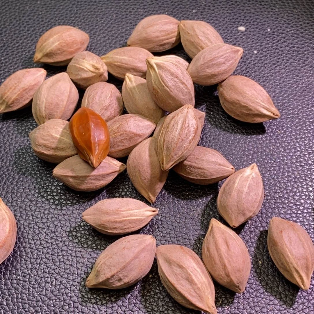点***墨手串/手链橄榄核1