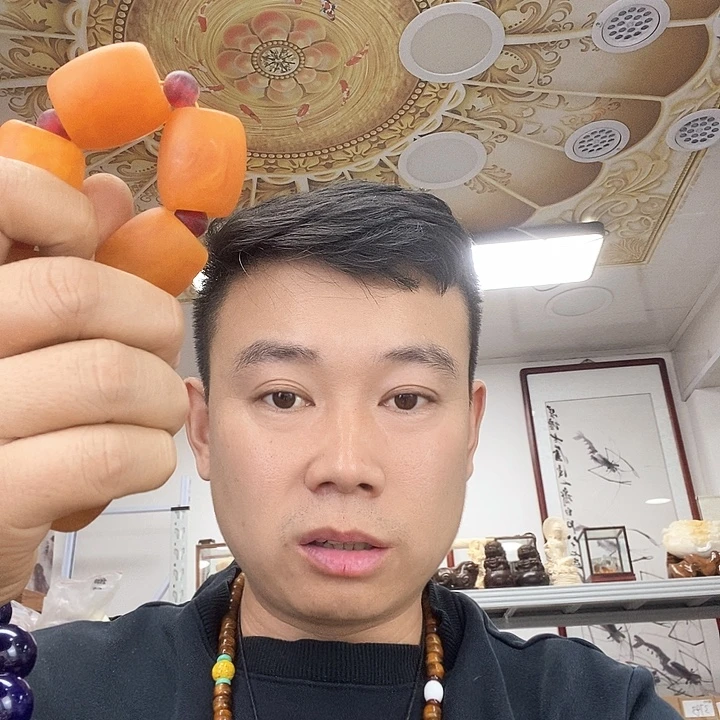 树脂非金属2503。