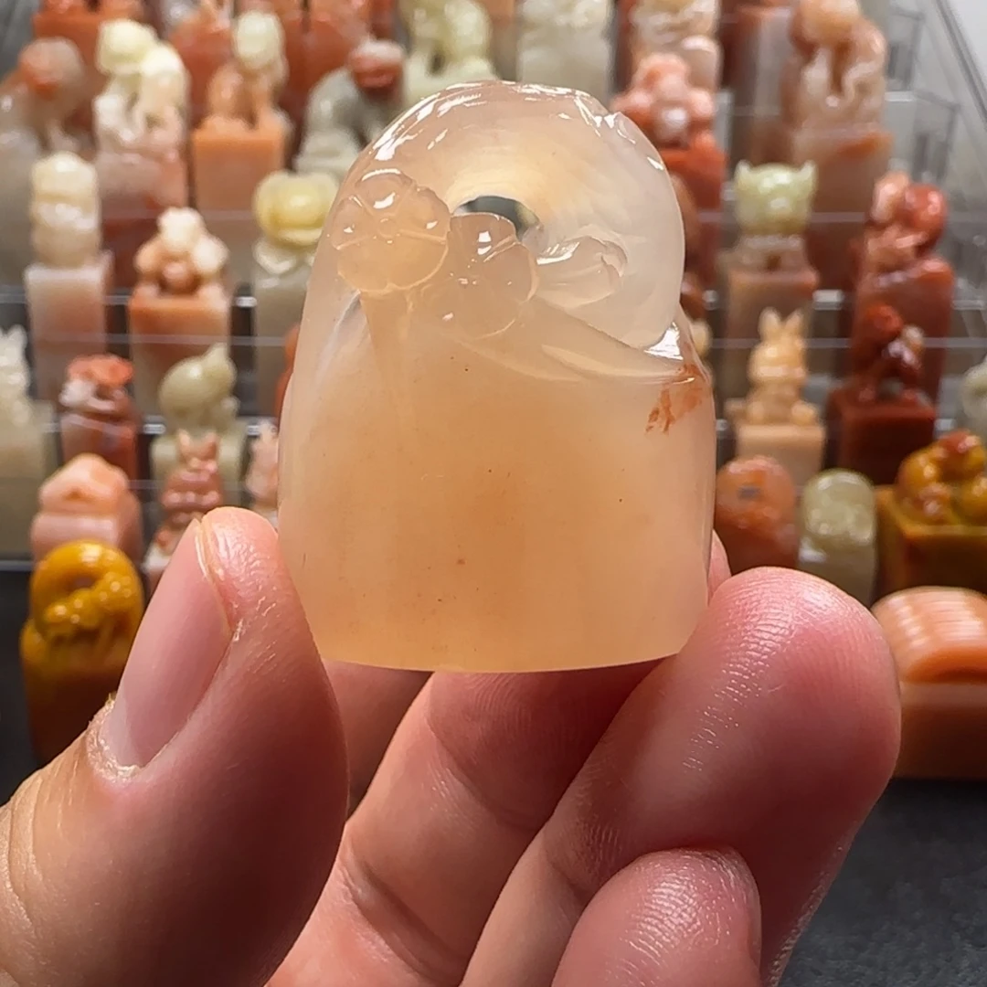 老挝石梅花 1.2×2.7×3.4