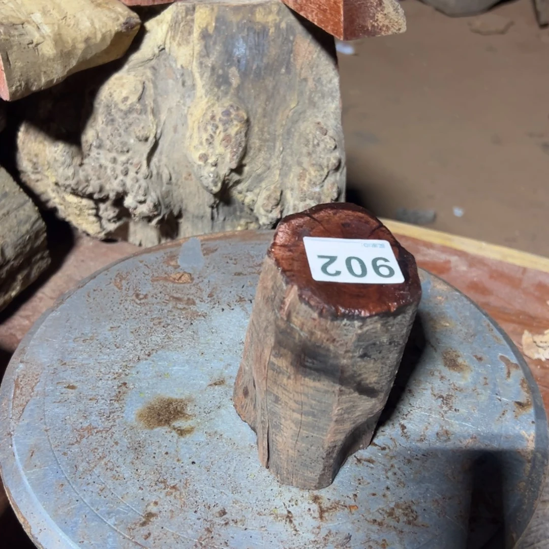 大果紫檀（缅甸花梨）