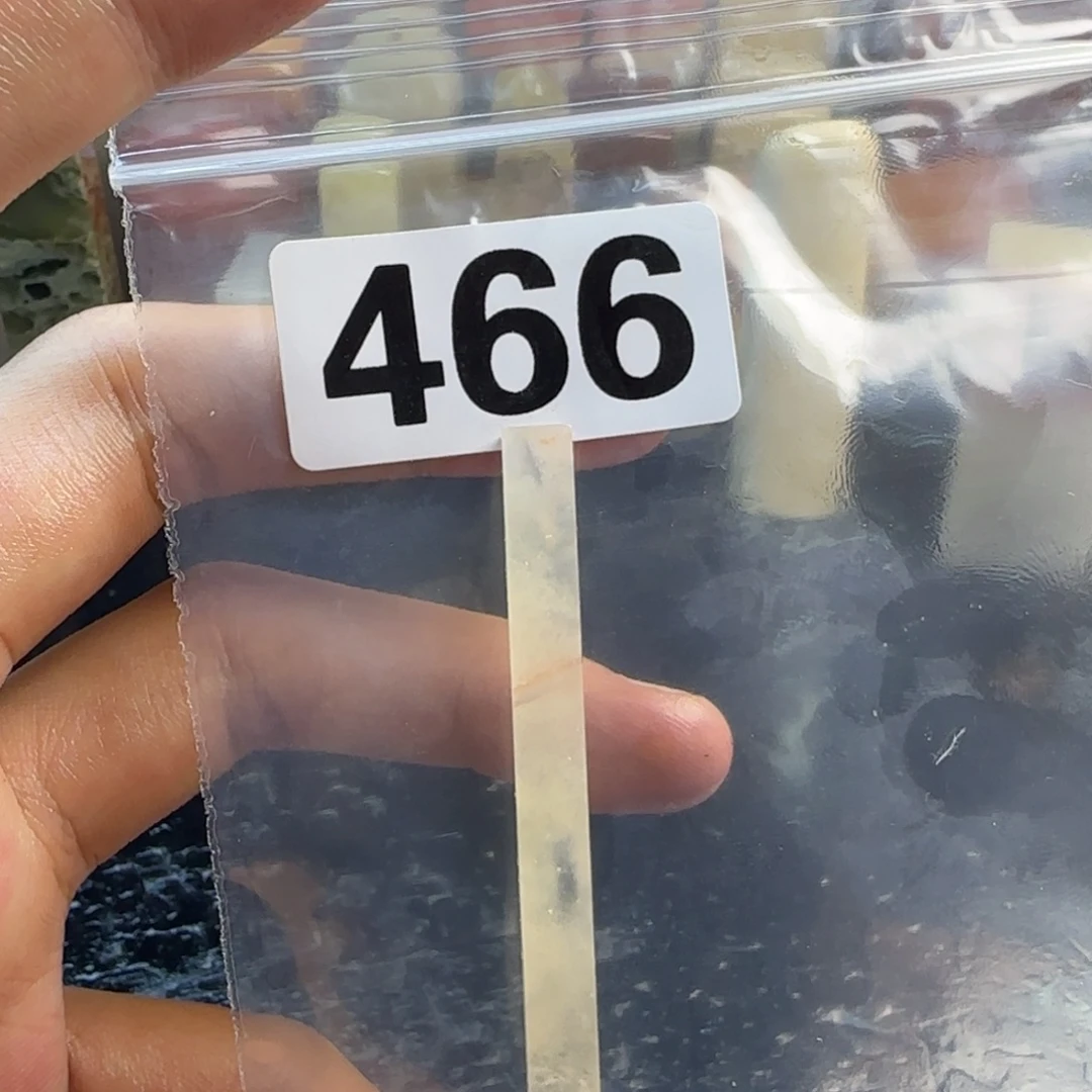 静***石老挝石kkkkkkmmmmmmmmm