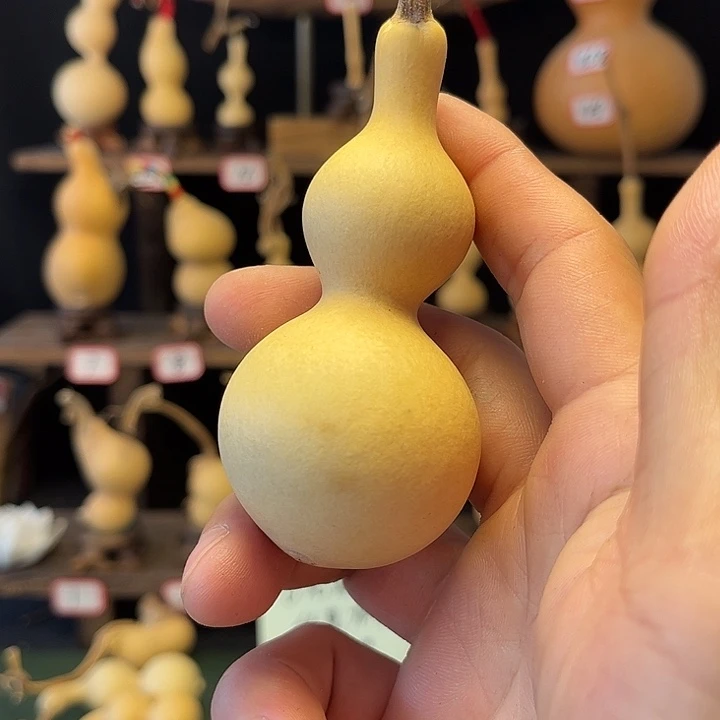 薛***么裤头噜噜噜突突突