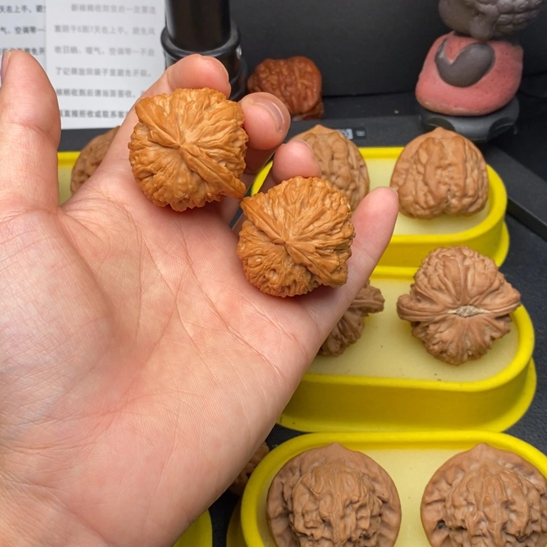 把件核桃38白狮子精打底