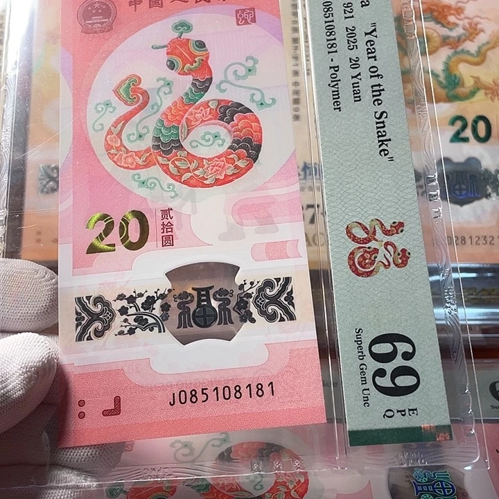 塑料085108181 蛇生肖钞