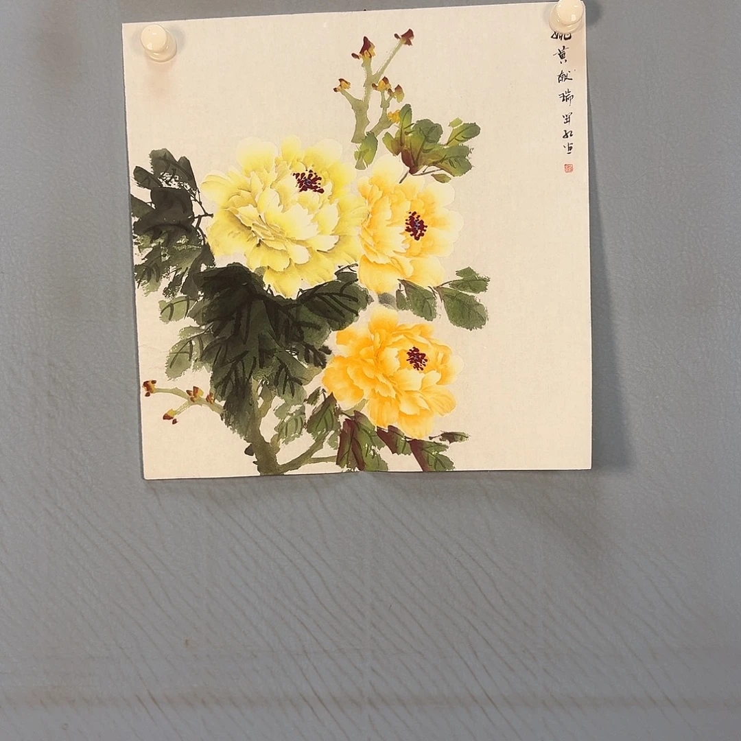 国画185 牡丹一如你初来乍
