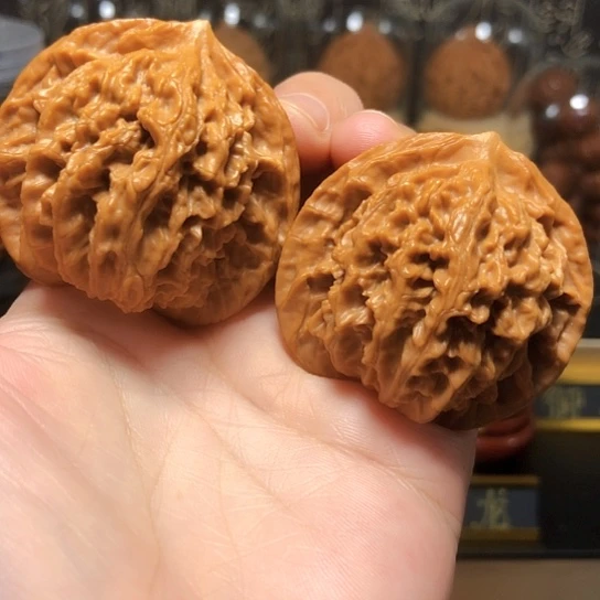 福利：老款狮子头（不退不换）