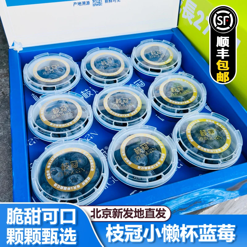 【顺丰包邮】枝冠蓝莓鲜果小懒杯9杯礼盒装 脆甜孕妇水果云南蓝莓