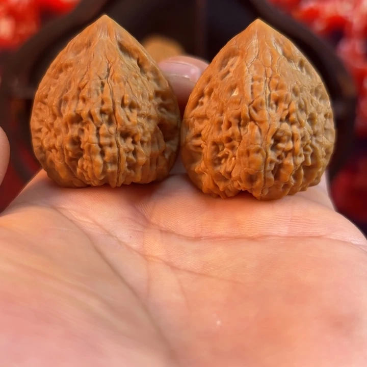 蛇王一抹红-37尺有修