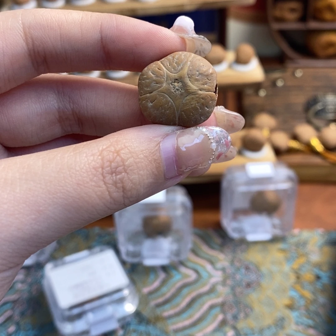 吊坠凤眼菩提五星