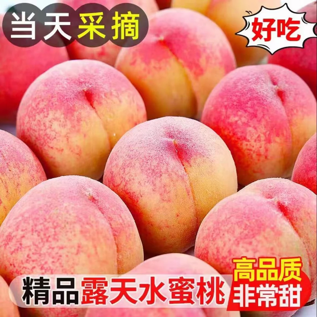 山西正宗水蜜桃当季新鲜水果现摘现发