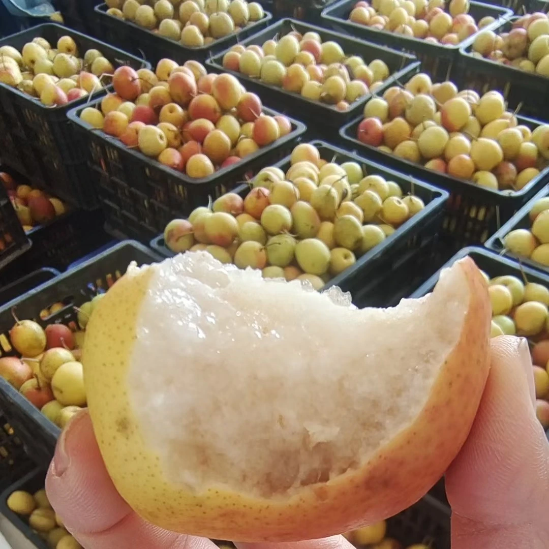 云南特产弥渡小红梨储房梨