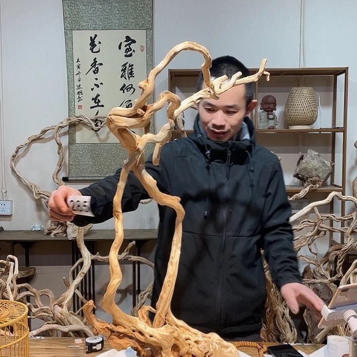 榕***品香榧木杜鹃啼血猿哀鸣二