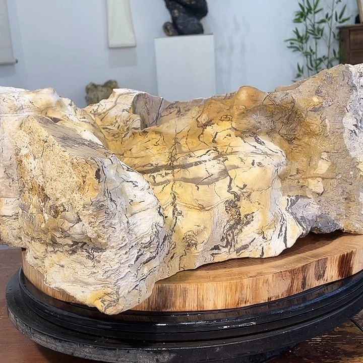 红***山855882255525888888