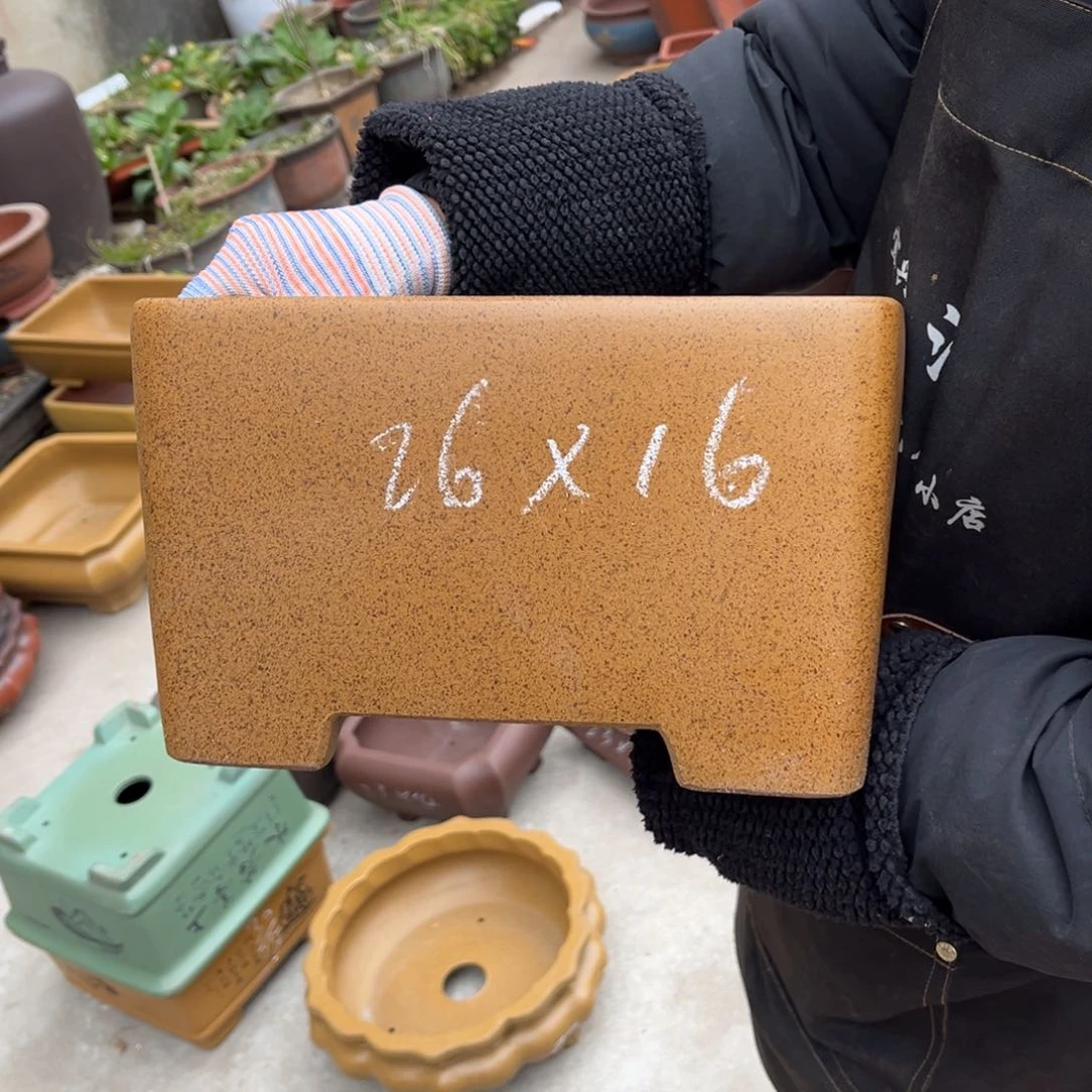 紫砂花盆盆景艺术