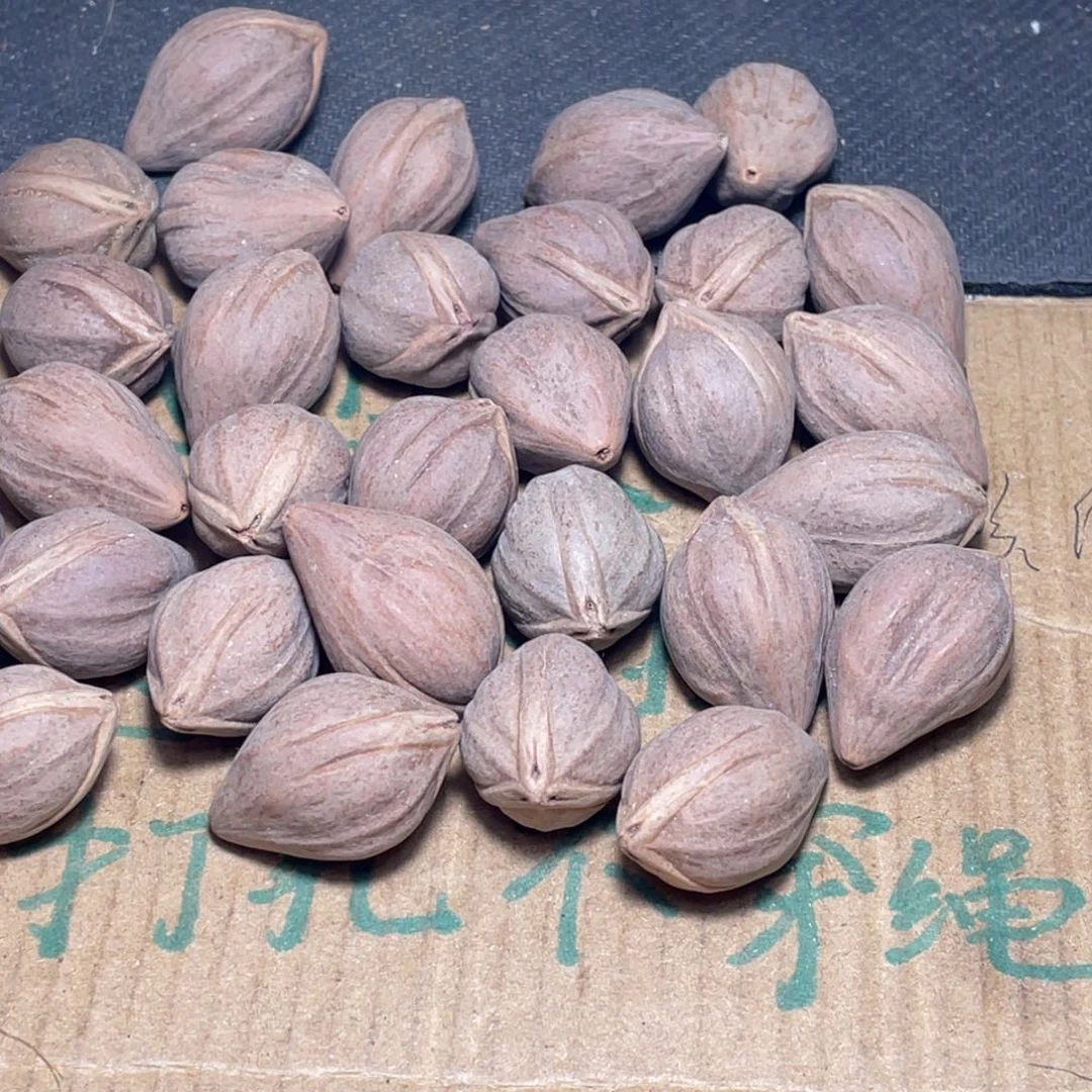 健***乐不退不换wetyi